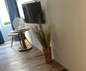 a vase with a plant in a room with a tv at Stilbruch Glückstadt in Glückstadt