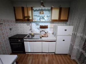 Kuhinja ili čajna kuhinja u objektu Apartment Shadrvan