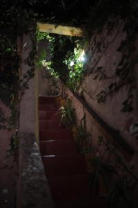 eine Treppe mit Pflanzen darauf bei Nacht in der Unterkunft Traditional house in Marrakesch