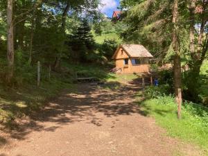 Příroda nedaleko apartmánu