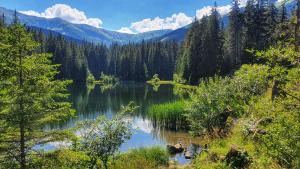 Fotografia z galérie ubytovania Apartmány v hoteli Pošta- Jasná, Nízke Tatry v Liptovskom Mikuláši