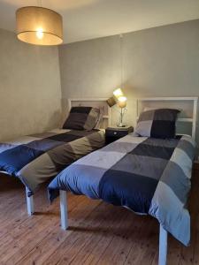 two beds in a bedroom with a lamp on a table at Gite Mani et Princesse à partir de 2 à 6 personnes in Sainte-Soline