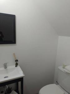 une salle de bain blanche avec toilettes et lavabo dans l'établissement Excelente depto muy luminoso, à Buenos Aires 4 autres photos