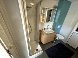a small bathroom with a sink and a shower at Stadtzauber in Malchow