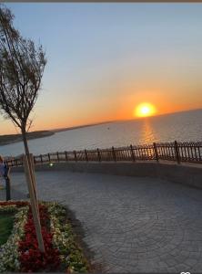 a sunset over the ocean with a bench and a tree at Airport See Viem Apartment in Arnavutköy