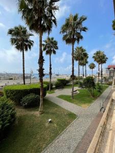 ein Gehweg mit Palmen in einem Park in der Unterkunft Miramare Serenella in Genua