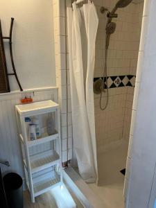 un bagno con doccia con tenda da doccia bianca di 3 Bedroom - Awesome Views, Light, Deck a Idaho Springs Altre 12 foto