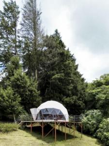 a white tent on a platform in a field with trees at Green Noise Glamping in Fraijanes +11 photos
