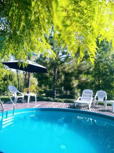 two chairs and an umbrella next to a swimming pool at Viva el Delta in Tigre
