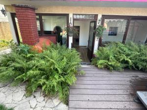 ein Haus mit vielen Pflanzen auf der Veranda in der Unterkunft Appartement de 65m2 avec piscine partagée in Tremblay En France + 3 Fotos