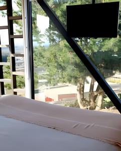 Foto dalla galleria di Cabañas del cerro 1 a Pichilemu