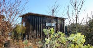 A garden outside Cosy Tiny Container Cabin