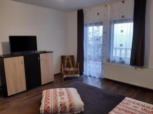 TV a/nebo společenská místnost v ubytování Casa Tăslovan