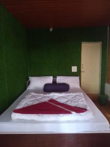 Fotografie z fotogalerie ubytování The Jungle - RISHOP v destinaci Rishop