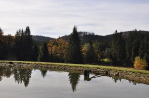 Příroda nedaleko apartmánu + 3 fotografie