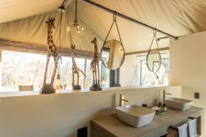 Fotografie z fotogalerie ubytování Sasi Africa Luxury Tented Bush Lodge v destinaci Bergville + 37 fotografií