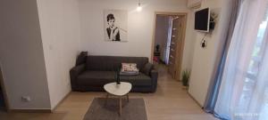 a living room with a couch and a table at Iulius Mall Area Apartament in Iaşi