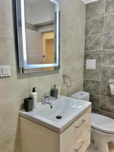 a bathroom with a sink and a toilet and a mirror at Iulius Mall Area Apartament in Iaşi +41 photos