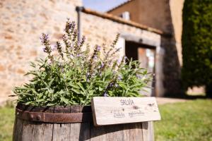 Jardín al aire libre en Agroturisme Sant Dionis