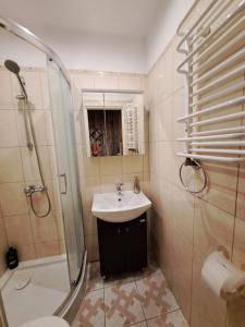 a bathroom with a sink and a shower and a toilet at Haus in der ruhigen Siedlung in Sztum +24 photos