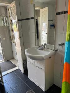 a bathroom with a sink and a mirror and a shower at Chalet 4 persoons in Anloo +28 photos