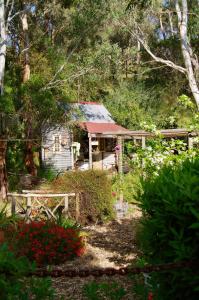 a house in the middle of a forest at Pear Tree Hollow in Bald Hills
