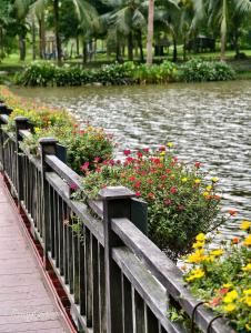 Výhled na řeku, která protéká v blízkosti apartmánu