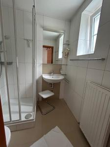 Koupelna v ubytování Villa Styria