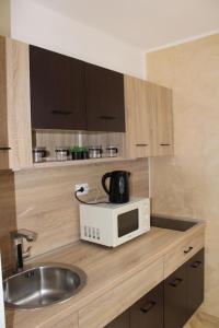 a kitchen counter with a microwave and a sink at IN SILVER Apartman in Vršac