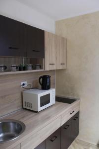 a kitchen with a sink and a microwave on a counter at IN SILVER Apartman in Vršac
