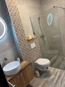 a bathroom with a sink and a toilet and a shower at La Chambre in Ineu