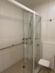 Koupelna v ubytování Villa Styria