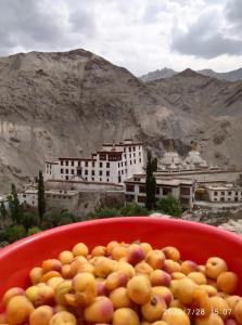 a red bowl of fruit in front of a mountain at Green Land Guest House Ladakh by LexStays in Lāmayūrū