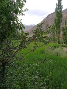 Gallery image of Green Land Guest House Ladakh by LexStays in Lāmayūrū