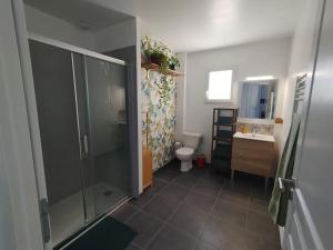 a bathroom with a shower and a toilet and a sink at La Maison Vanista in Albi