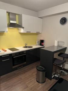 Kuchyň nebo kuchyňský kout v ubytování Apartment Balta