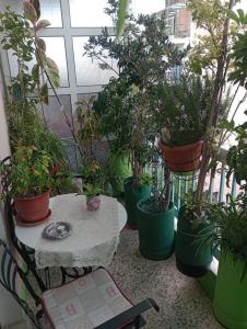 Vonkajšia záhrada v ubytovaní Athens Neoclassical