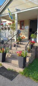 a set of stairs with potted plants on them at Lila Rummet in Kyrkesund