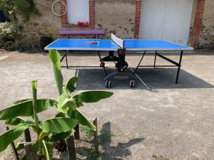 Una mesa de ping pong con un ping azul en Le domaine de la Rabatelière, en Saint-Colombin