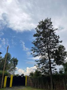 Fotografie z fotogalerie ubytování Airport View Homes v destinaci Eldoret