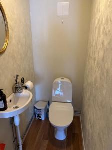 a bathroom with a toilet and a sink at Cozy house by the sea in Tofta +16 photos