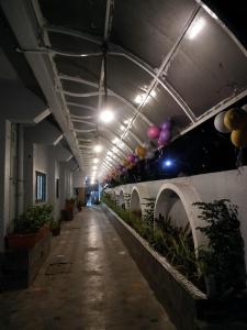 un couloir vide avec des plantes dans un bâtiment la nuit dans l'établissement Hotel rajlaxmi executive, à Aurangabad