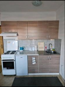 Kuchyň nebo kuchyňský kout v ubytování Apartman D&A