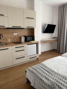 Kuchyň nebo kuchyňský kout v ubytování Hotel Slanica