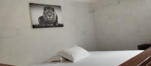 a bedroom with a picture of a lion on the wall at Pousada Ametista Sorriso in Sorriso