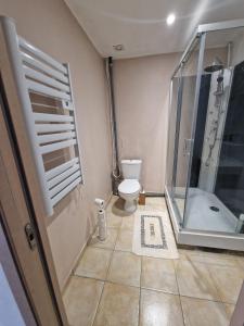 Petit Chalet في سانت كونتان: حمام مع دش ومرحاض ودش زجاجي +17 صورة