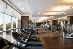 מרכז הכושר ו/או מתקני הכושר ב-Hyatt Regency Oryx Doha