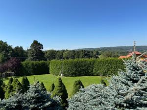 Afbeelding uit fotogalerij van Willa Winnica Maria Anna in Wyżne