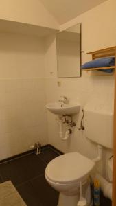 Ένα μπάνιο στο Apartment 2 Zum Kuhstall Heinrichsberg - Magdeburg