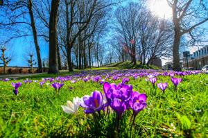 Giardino di beApart